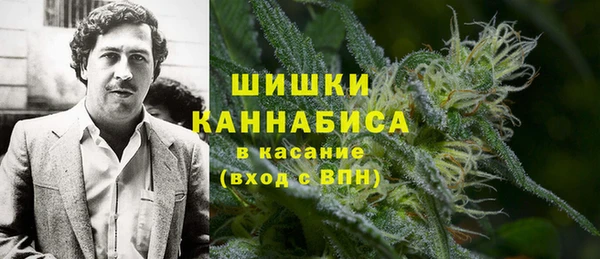 ГАЛЛЮЦИНОГЕННЫЕ ГРИБЫ Алексин
