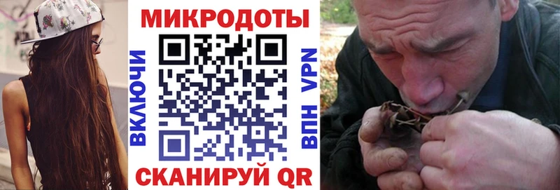где купить   Топки  Псилоцибиновые грибы мицелий 
